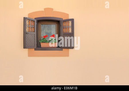 Rote Blumen auf eine alte braune Holzfenster Stockfoto