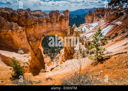 Natürliche Brückenbogen, Bryce-Canyon-Nationalpark, Utah, USA Stockfoto