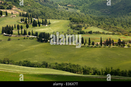 Blick auf den kurvenreichen Straßen in den Hügeln der Toskana in Italien, in der Nähe von Pienza grün Stockfoto