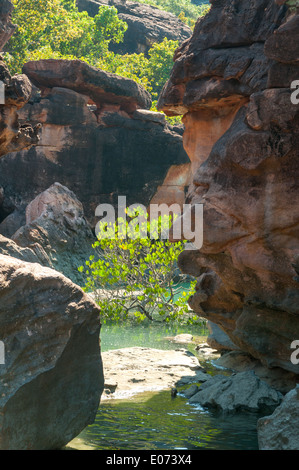 Felsen auf Boongaree Insel, Prinz Frederick Hafen, Kimberley, Western Australia, Australien Stockfoto