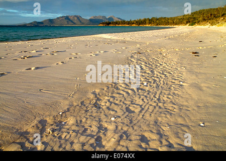 Blick von Cooks Beach Gefahren, Freycinet National Park Stockfoto