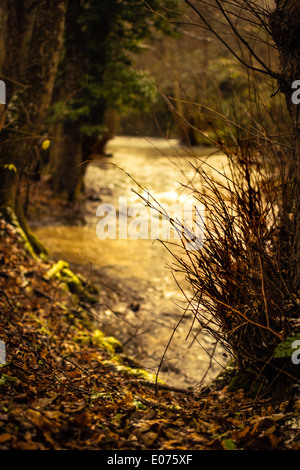 eine lebendige Sonnenuntergang auf einen kleinen Teich oder Torrent vom Ufer aus gesehen Stockfoto