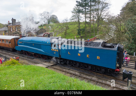 Dampf-Lokomotive 4464 "Rohrdommel" ziehen weg von Goathland auf der North Yorkshire Moors Railway Mai 2014 Stockfoto