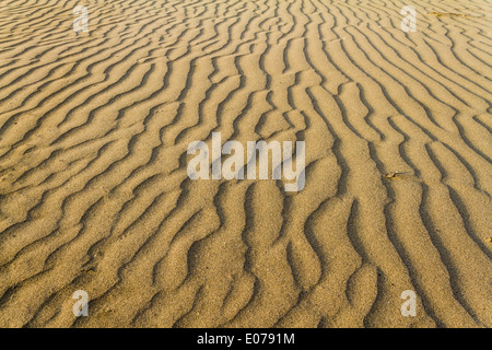 Detail der Wellen durch den Sand am Strand oder eine Wüste gebildet Stockfoto