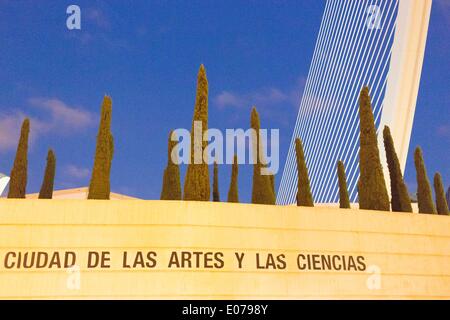 Stadt der Künste und Wissenschaften, gebaut nach Plänen des Architekten Santiago Calatrava im Abendlicht 29.10.2013 Stockfoto