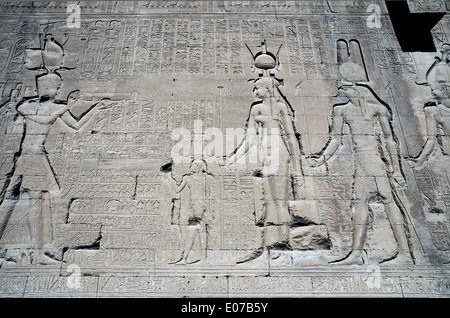Ägypten, Dendera, ptolemäischen Tempel der Göttin Hathor.Carvings an Außenwand. Stockfoto