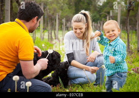 Eltern mit Kleinkind Jungen spielen auf der Wiese, Österreich Stockfoto