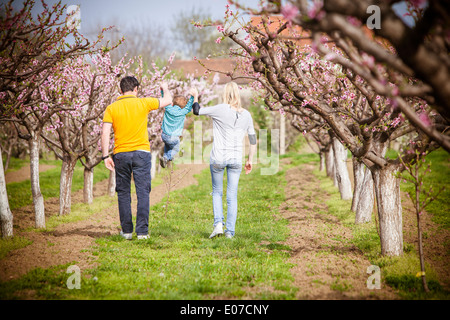Eltern spielen mit Kleinkind Jungen in einem Obstgarten mit Kirschbäumen, Österreich Stockfoto
