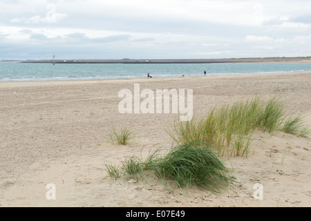 Strand im Winter im niederländischen Zeeland Renesse Stockfoto