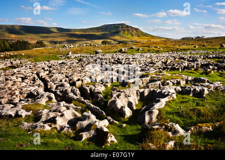 Ingleborough Hügel, Yorkshire Dales National Park, UK. Aus dem Kalkstein Pflaster betrachtet im Norden. Stockfoto