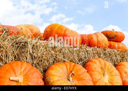 Garten Kürbisse auf Stroh Stockfoto