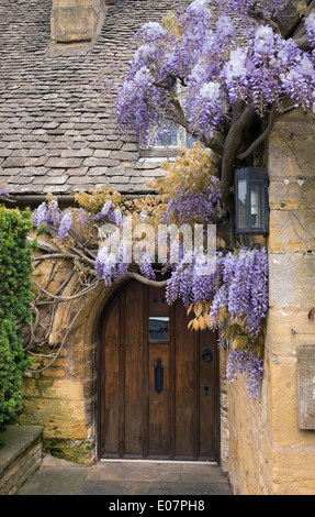 Glyzinien auf einem Cotswold Steinhaus, Broadway, Cotswolds, Worcestershire, England Stockfoto