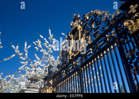 Jubiläums-Gates im Frühjahr mit weißen Blüten auf Bäumen The Regents Park London England UK Stockfoto