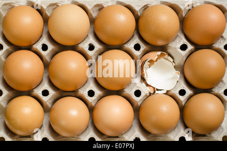 Braunen Eiern in einem Karton Stockfoto