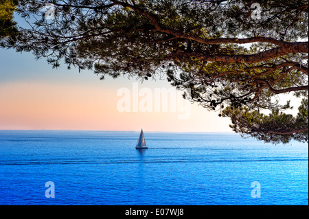 Europa, Frankreich, Bouche-du-Rhône, Cassis. Cape Canaille. Segelboot bei Sonnenuntergang. Stockfoto