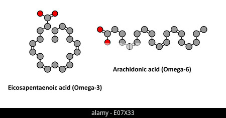 Eicosapentaensäure (EPA, Omega-3) und Arachidonsäure (AA, Omega-6) Moleküle. Stilisierte 2D-Renderings. Stockfoto