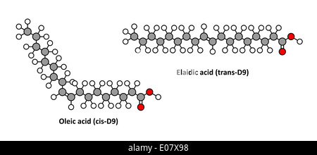 Ölsäure (Omega-9, Cis) und seiner Trans-Isomer Elaidic Säure. Elaidic Säure ist die wichtigste Trans-Fettsäuren in gehärteten Pflanzenölen. Stockfoto