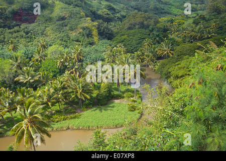 Allerton Gärten, Kauai, Hawaii. Stockfoto