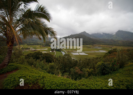 Landwirtschaftlichen Flächen an der Nordküste von Kauai, Hawaii. Stockfoto
