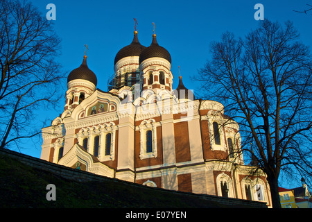 Tallinn-Alexander-Newski-Kathedrale Stockfoto