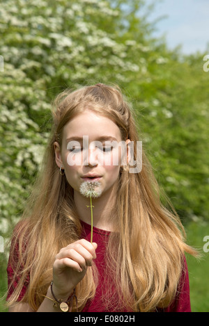 Junges Mädchen bläst Samen Löwenzahn Blüte Stockfoto