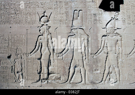 Ägypten, Dendera, ptolemäischen Tempel der Göttin Hathor.Carvings an Außenwand. Stockfoto