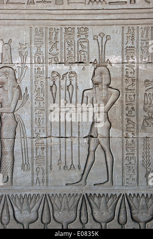 Ägypten, Dendera, ptolemäischen Tempel der Göttin Hathor.Carvings an Außenwand. Stockfoto