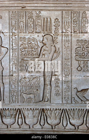 Ägypten, Dendera, ptolemäischen Tempel der Göttin Hathor.Carvings an Außenwand. Stockfoto