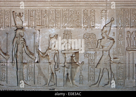 Ägypten, Dendera, ptolemäischen Tempel der Göttin Hathor.Carvings an Außenwand. Stockfoto