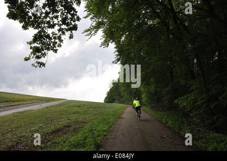 Australischer Radrennfahrer Reiten auf einem dedizierten Radweg Eurovelo Route 6 entlang der Donau Fluss Bayern, Deutschland. Stockfoto