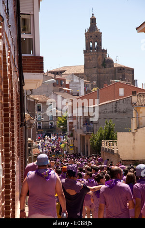 Schlacht von "Clarete". Rosa Wein. San Asensio. La Rioja. Spanien. Europa Stockfoto