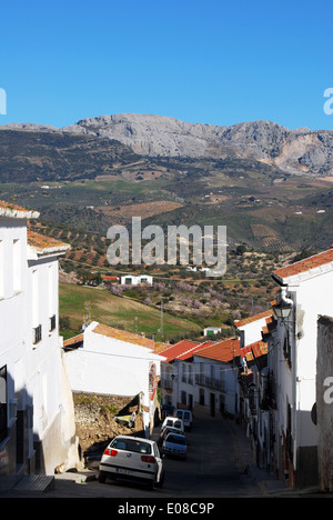 Blick entlang der Dorfstraße in Richtung der Berge, Colmenar, Costa Del Sol, Provinz Malaga, Andalusien, Spanien, Westeuropa. Stockfoto