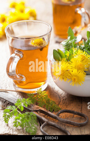 Kräutertee mit Huflattich Blüten Stockfoto