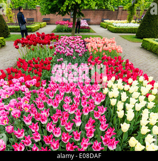 TULIP BETTEN KEUKENHOF GÄRTEN VOLLER BLUMEN IM FRÜHLING HOLLAND Stockfoto