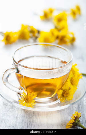 Kräutertee mit Huflattich Blüten Stockfoto