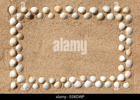 Rahmen der Muscheln auf Sand Hintergrund mit textfreiraum für Ihren text Stockfoto