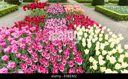 TAUSENDE VON BUNTEN HOLLÄNDISCHEN TULPEN IM FRÜHLING IM KEUKENHOF GÄRTEN HOLLAND Stockfoto