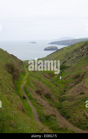 Ein Blick von der Klippe über Porth Ysgo Blick über die Bucht / Strand in Richtung Aberdaron und Bardsey Island / Ynys Enlli Stockfoto