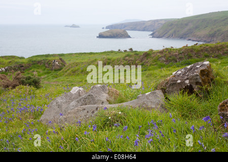 Ein Blick von der Klippe über Porth Ysgo Blick über die Bucht / Strand in Richtung Aberdaron und Bardsey Island / Ynys Enlli Stockfoto