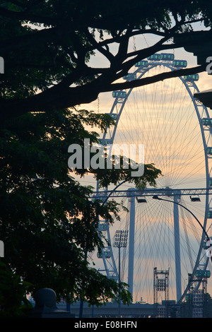 Singapore Flyer in der Abenddämmerung. Stockfoto