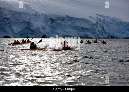 Gruppe von Meer Kajakfahrer in Port Lockroy Antarktis Stockfoto