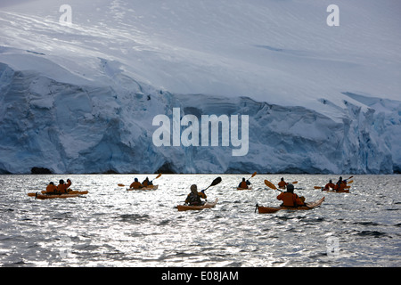 Gruppe von Meer Kajakfahrer in Port Lockroy Antarktis Stockfoto