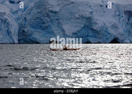 einzigen weiblichen Meer Kajakfahrer in der Nähe der Gletscher in der Antarktis Port lockroy Stockfoto