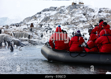 Touristen auf Zodiac-Ausflug in der Nähe von Gentoo Pinguin Kolonie Port Lockroy Antarktis Stockfoto