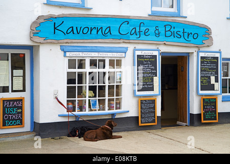 Hunde außerhalb Kavorna Cafe & Bistro bei Hugh Town, St Marys, Isles of Scilly, Scillies, Cornwall im April Stockfoto