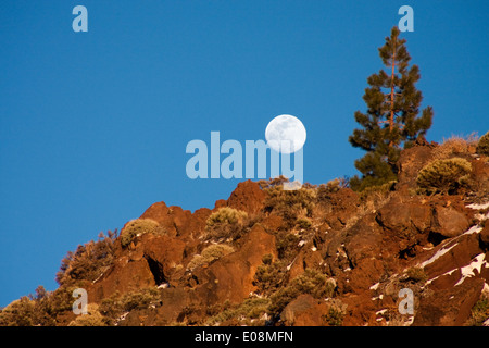 Moon Rise, Parque Nacional del Teide, Teneriffa, Spanien Stockfoto