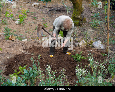 Bäuerin mit Gabel Hacke Stockfoto