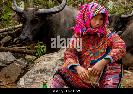 Der Viehmarkt In Coc Li, Provinz Lao Cai, Vietnam Stockfoto