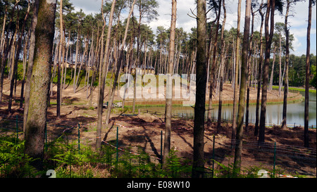 Woburn Forest Centre Parcs Bau der neue Urlaub Rückzug Dorf Park Parks Parc Center Abbey Manor Safaritiere Stockfoto