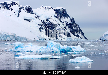 Eisberge in der Antarktis Lemaire-Kanal Stockfoto